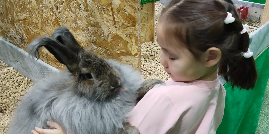 Декабрьские хлопоты . Неужели конец года ?