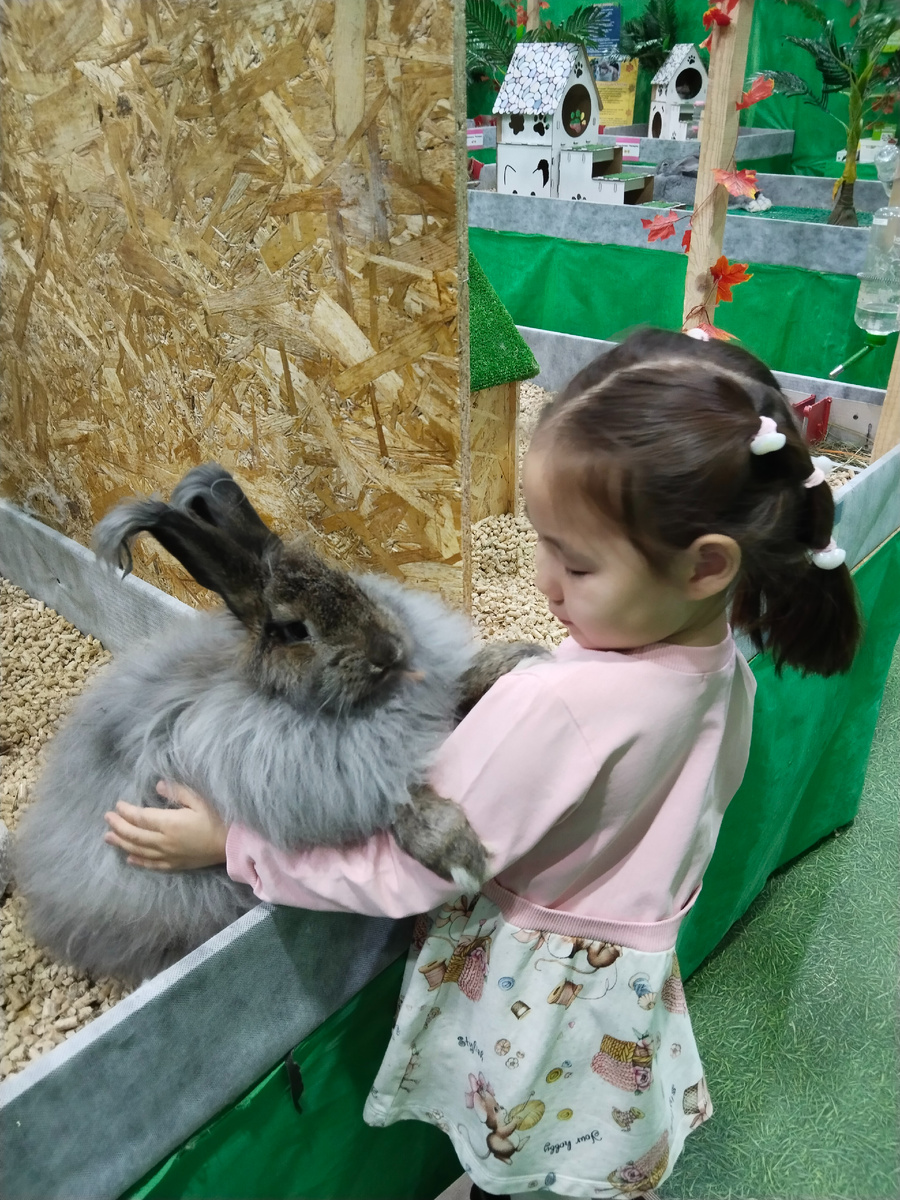 Хочется такую же шубку.  Как у кролика. 