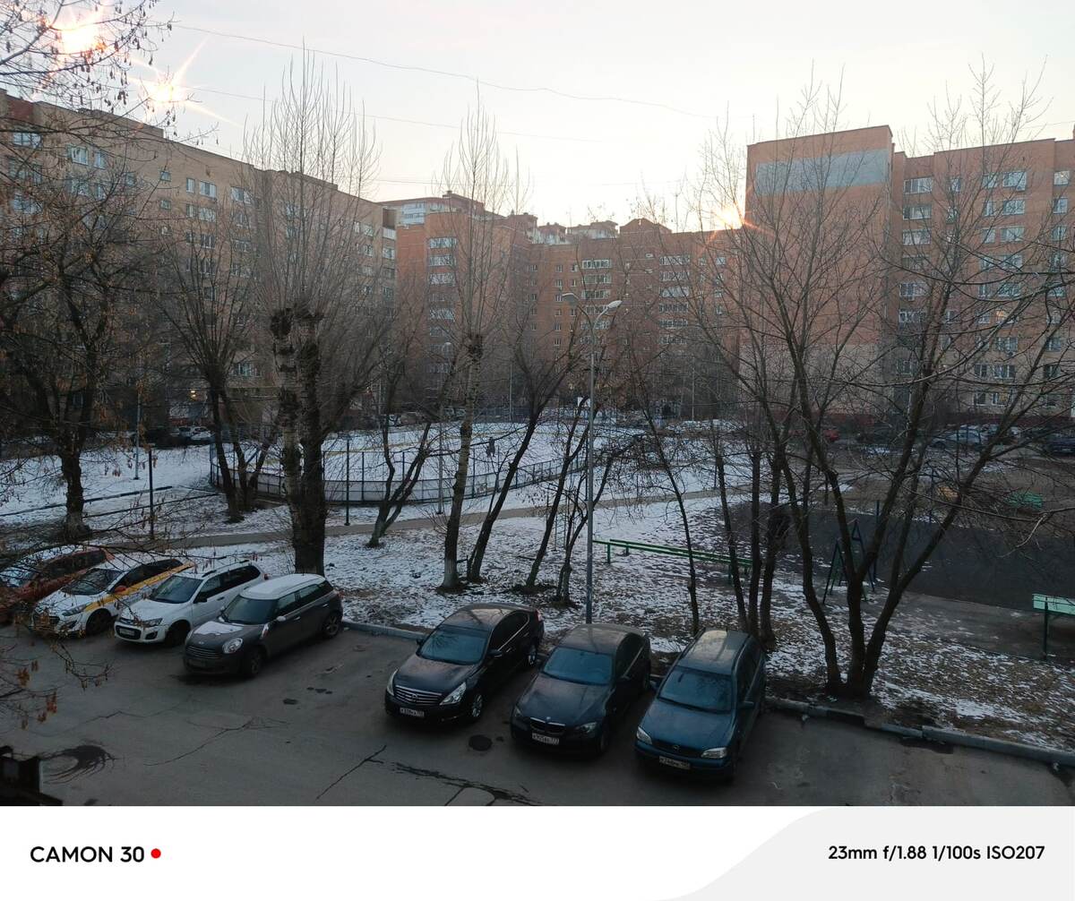 У нас во дворе 28 февраля 2025 года. Фото автора.