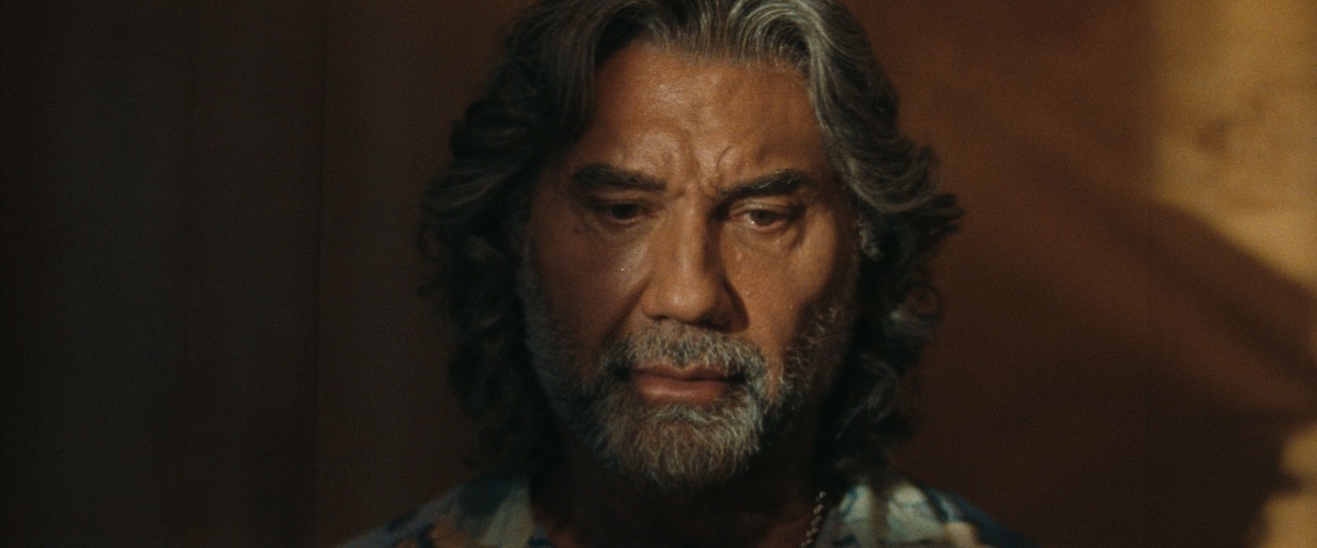    Capella Film выпустит в российский прокат «Шоугерл» с Памелой Андерсон (фото 2)