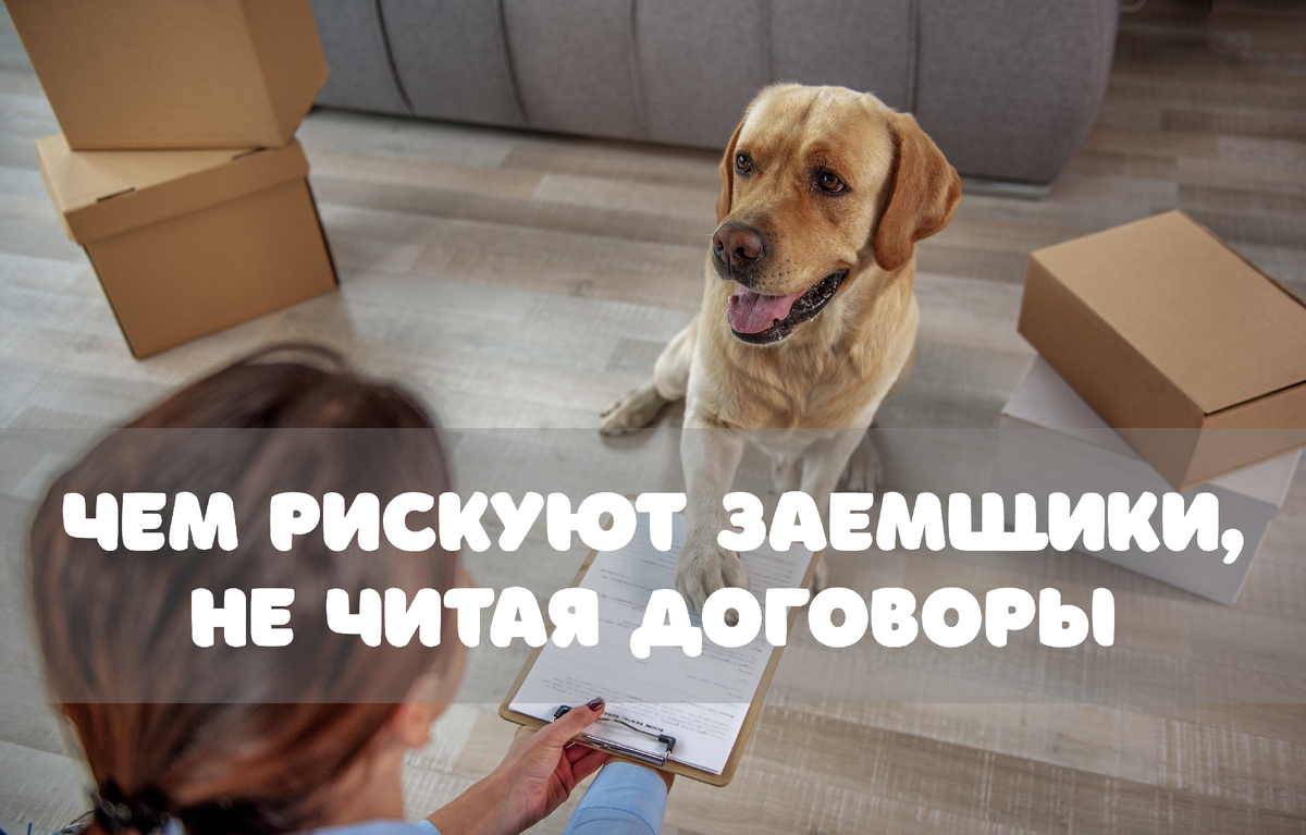 Фото: Olena Yakobchuk / Shutterstock