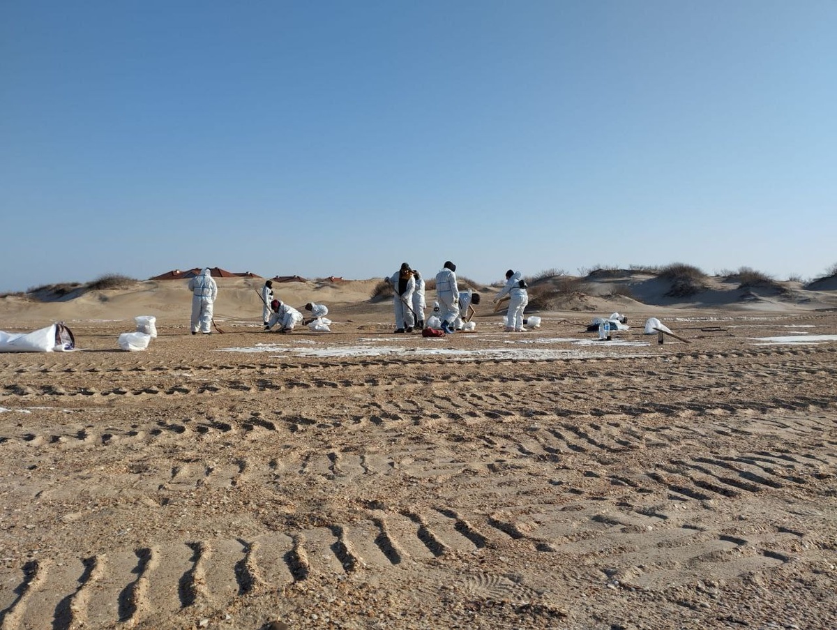 Фото: Оперштаб Кубани