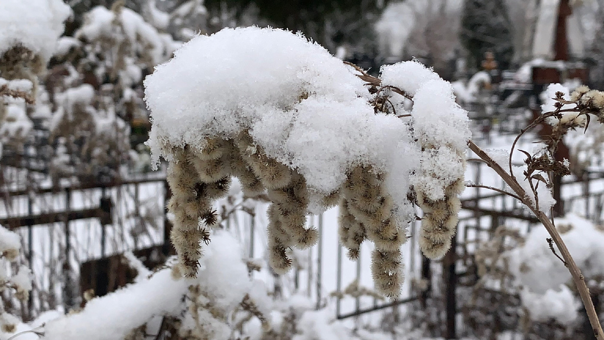 Никогда не ждала весну, помимо общей распутицы и обнажения всего неприятного из-под снега, накрывала аллергия вкупе с авитаминозом. Теперь и вовсе первый весенний день - день скорби и печали.