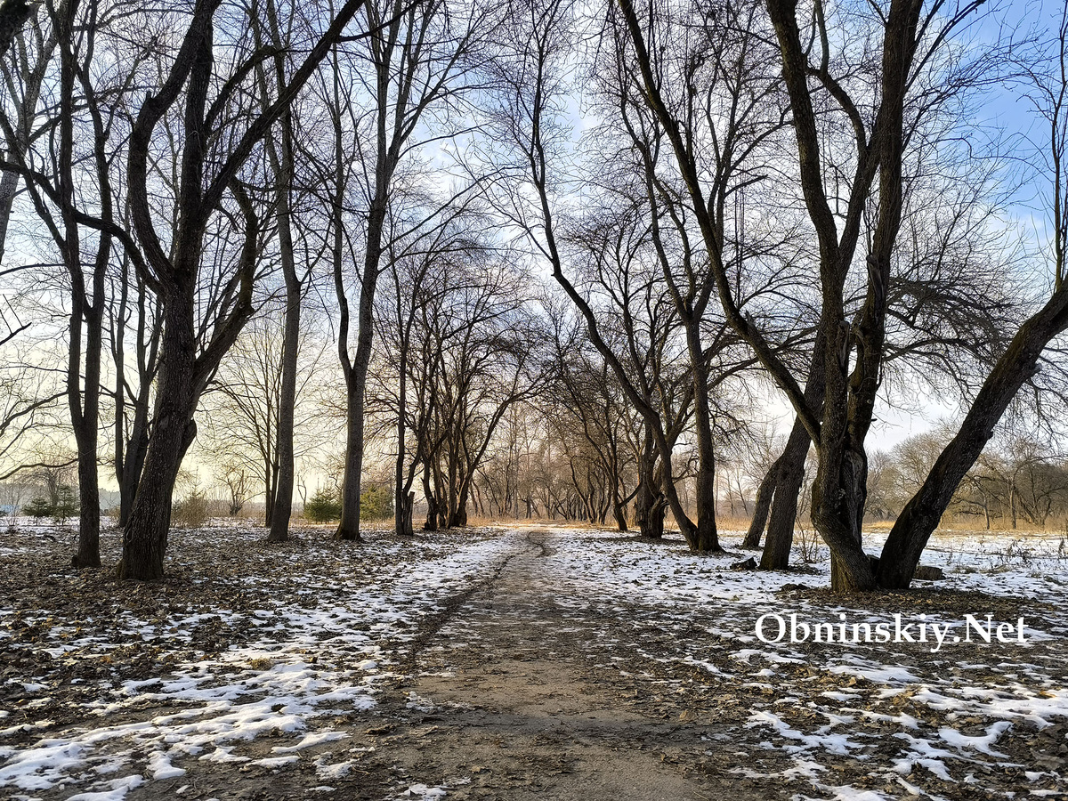 Последний день зимы в Обнинске