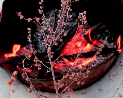 Угасающий костёр. Фото автора.