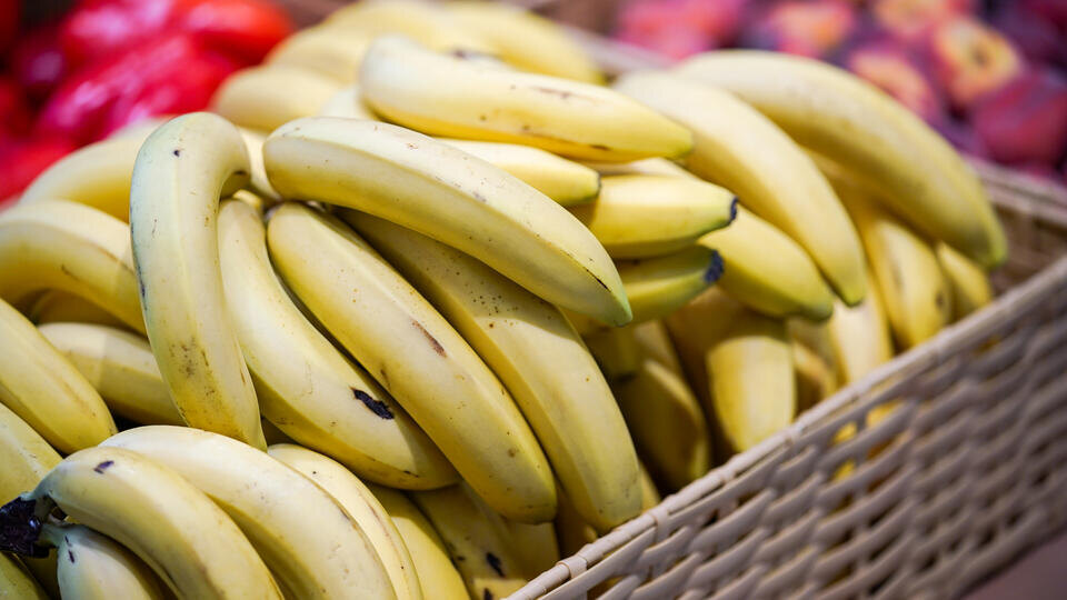 Фото: © ИЗВЕСТИЯ/Сергей Лантюхов