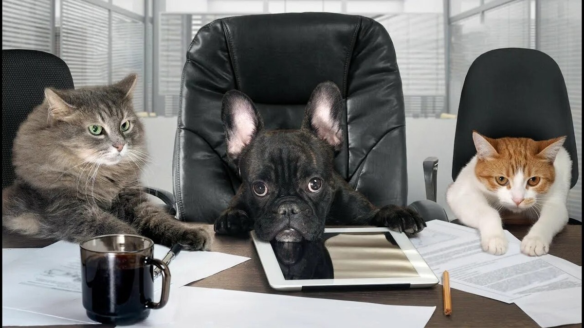 источник Яндекс-картинки