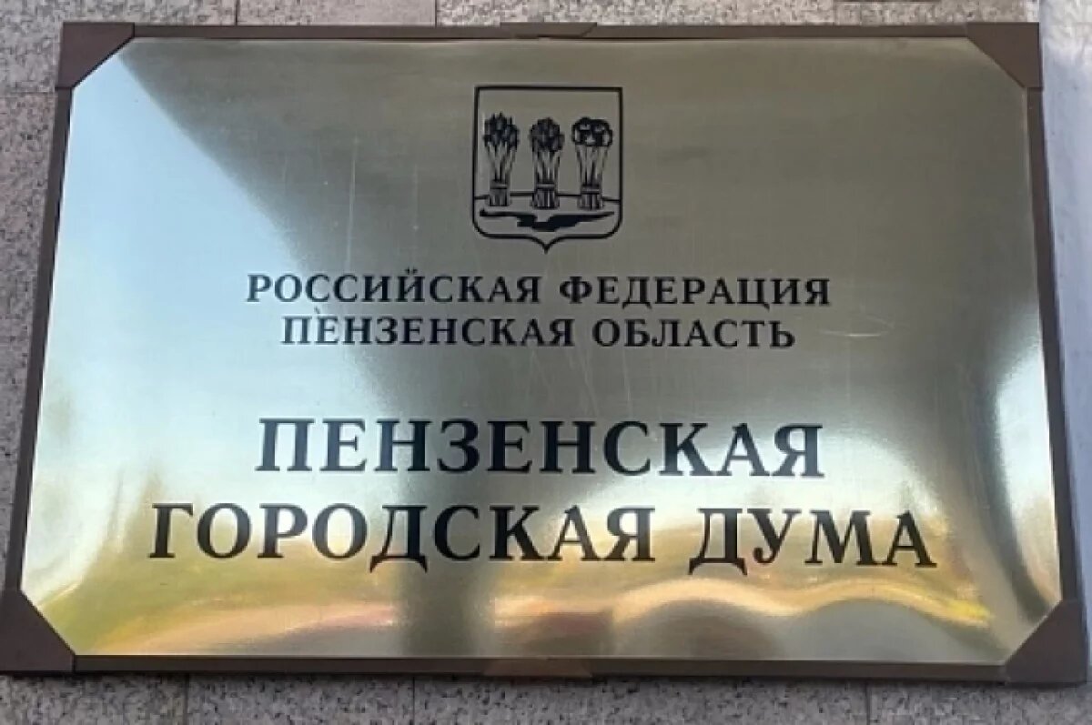    Пензенским депутатам пригрозили наказанием за нарушение регламента сессии