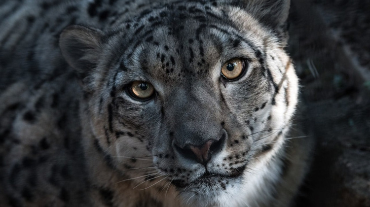 Uriel Soberanes/Unsplash