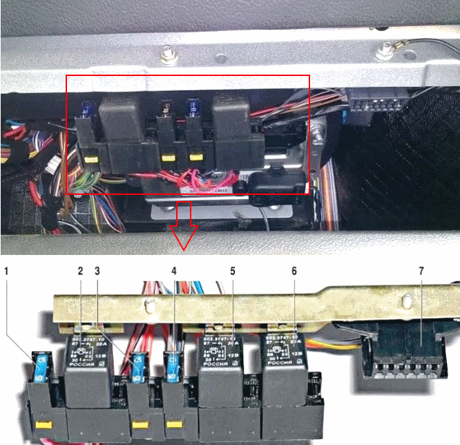 Внешний вид и нумерация