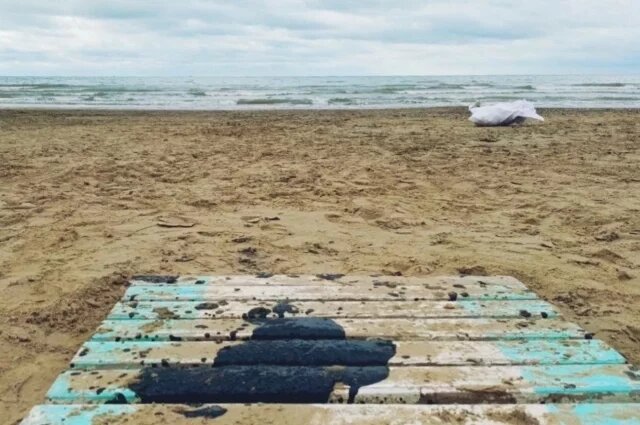    Побережье Черного моря после разлива нефти.