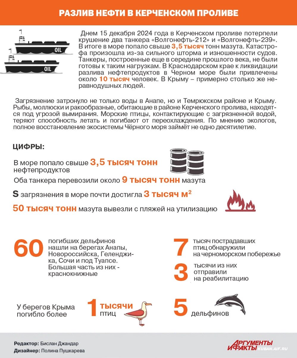    Инфографика АиФ-Юг Фото: kuban.aif.ru