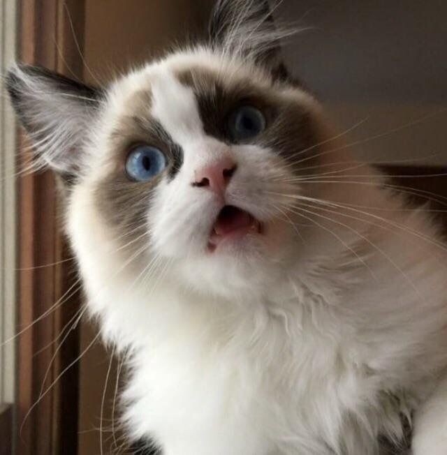 Чегооооооо?