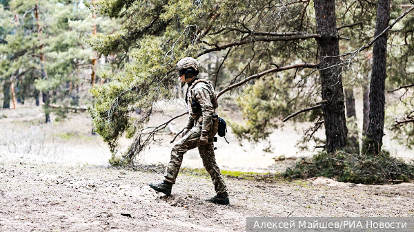     Фото: Алексей Майшев/РИА Новости   
 Текст: Валерия Городецкая