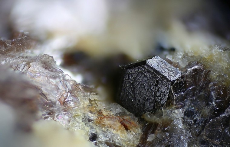    Shutterstock/FOTODOM