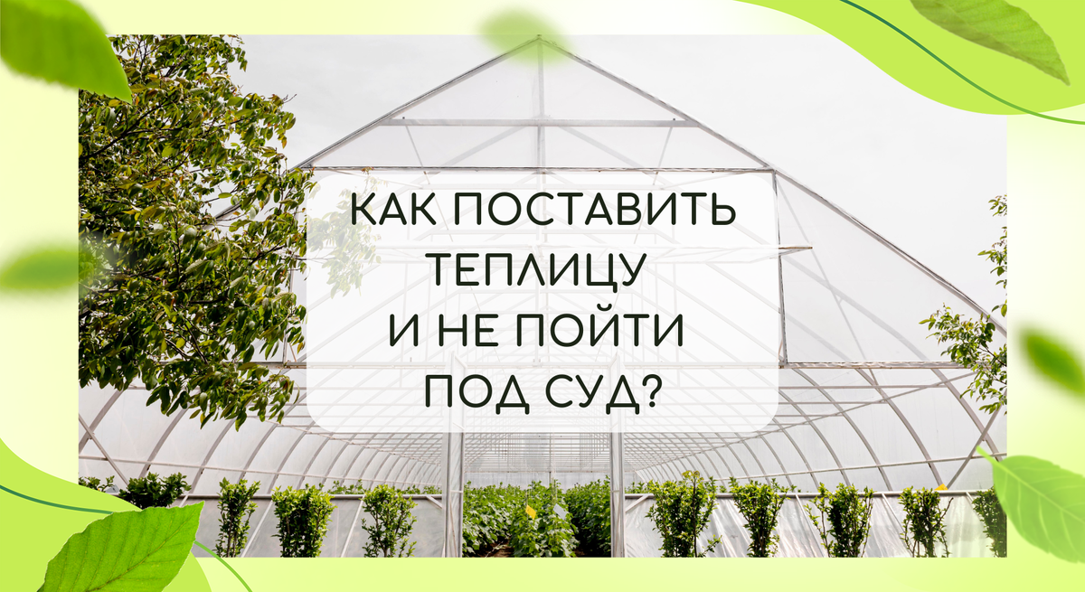 Теплица и до суда довести может