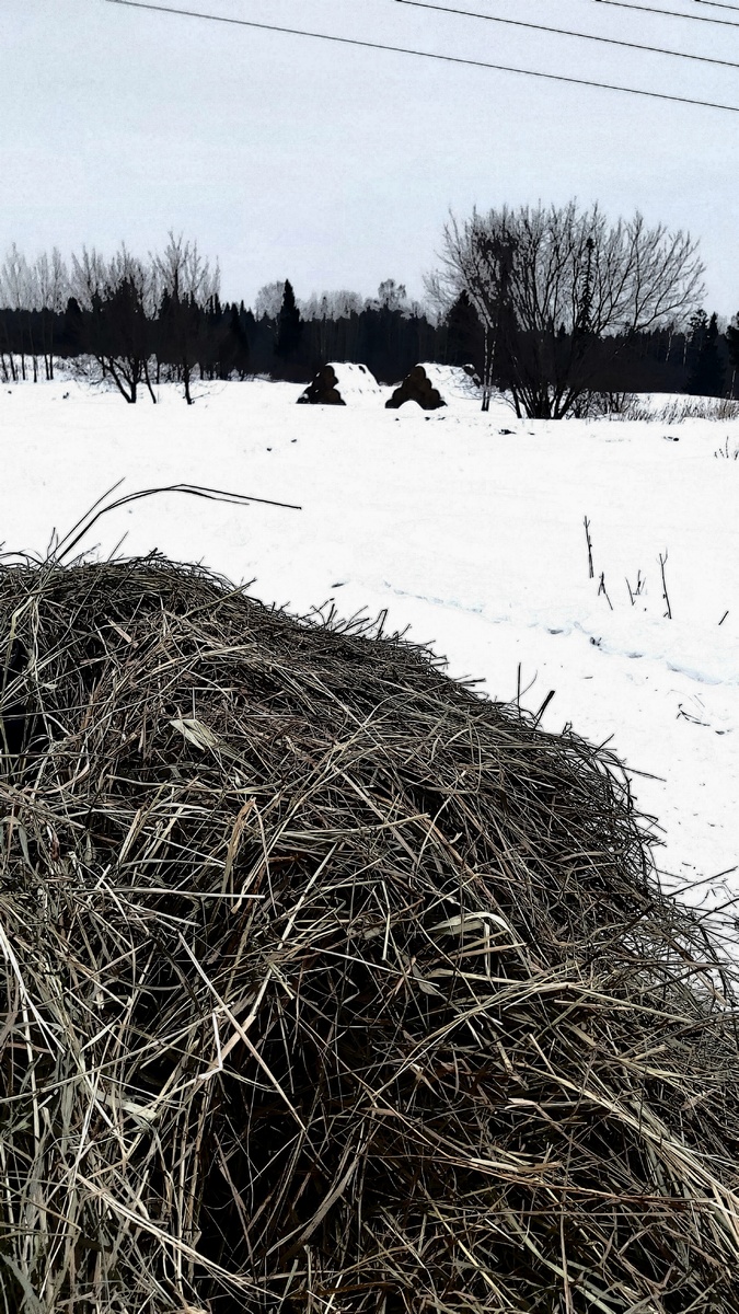 За городом в конном клубе