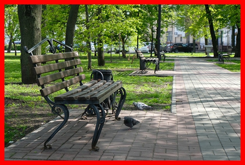 Больничный сквер на  время обеда и тихого часа опустел.