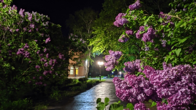 фото из интернета