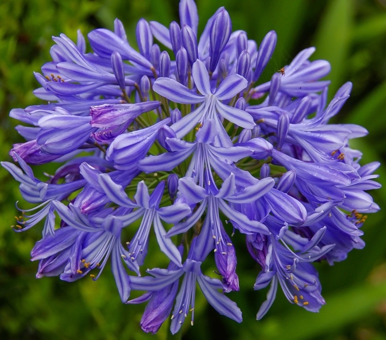 Фото из открытого источника 