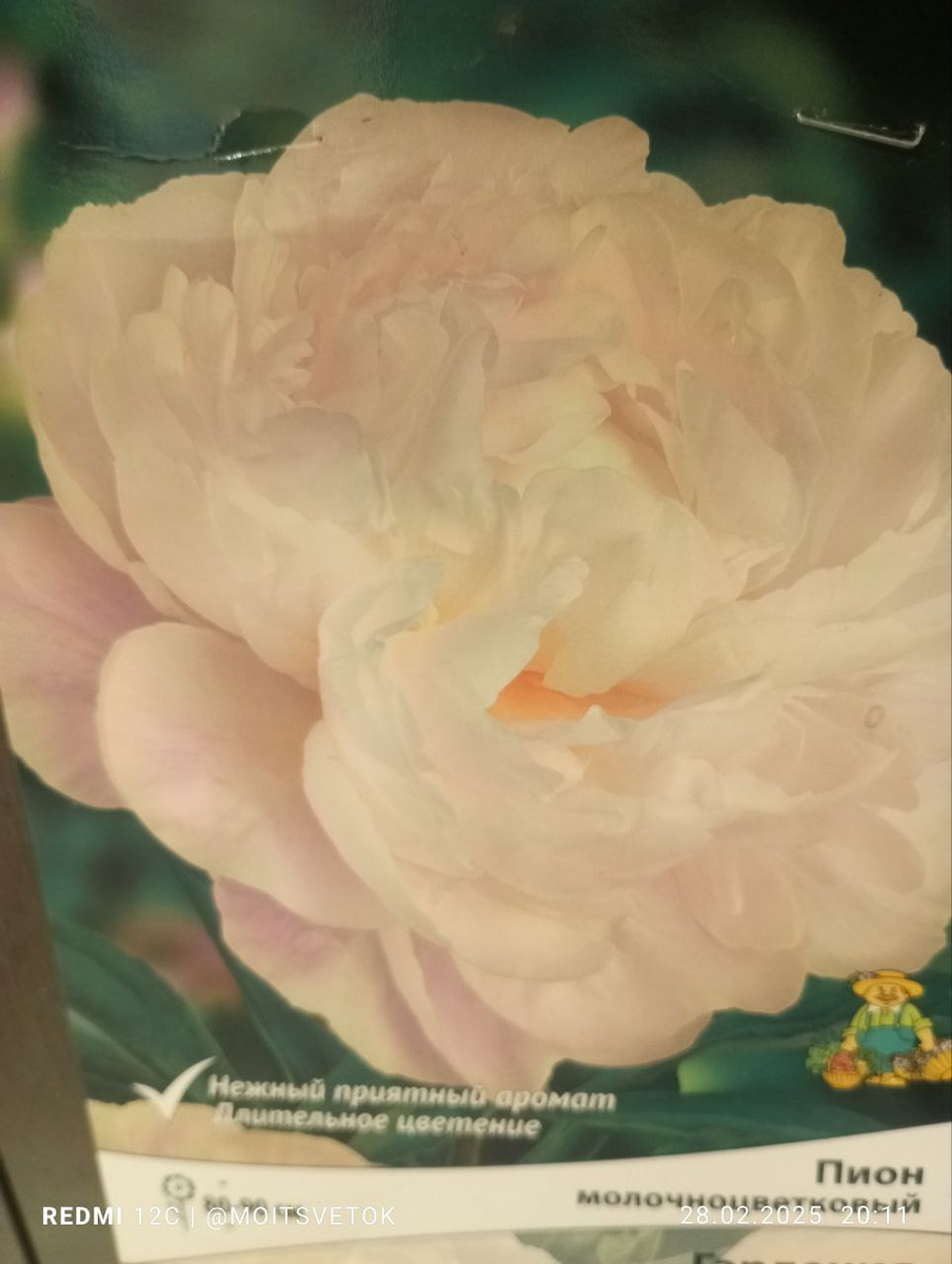 новинка этого сезона