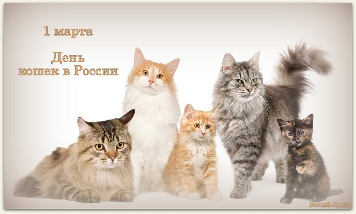 Коллаж автора