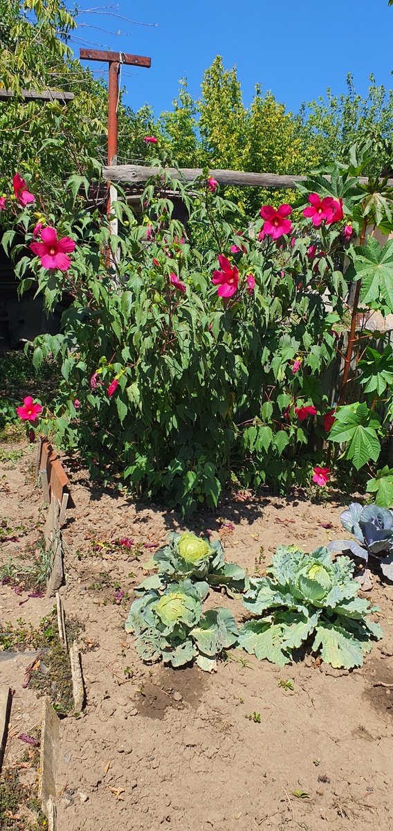 Где-то 2022 год