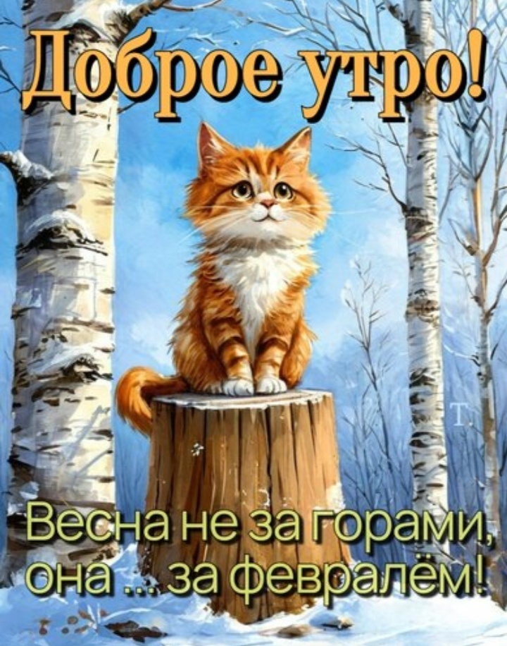 Всем привет и доброго времени суток!!!