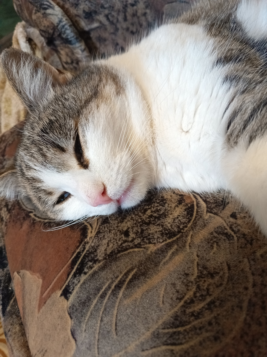 Дуня, фото автора