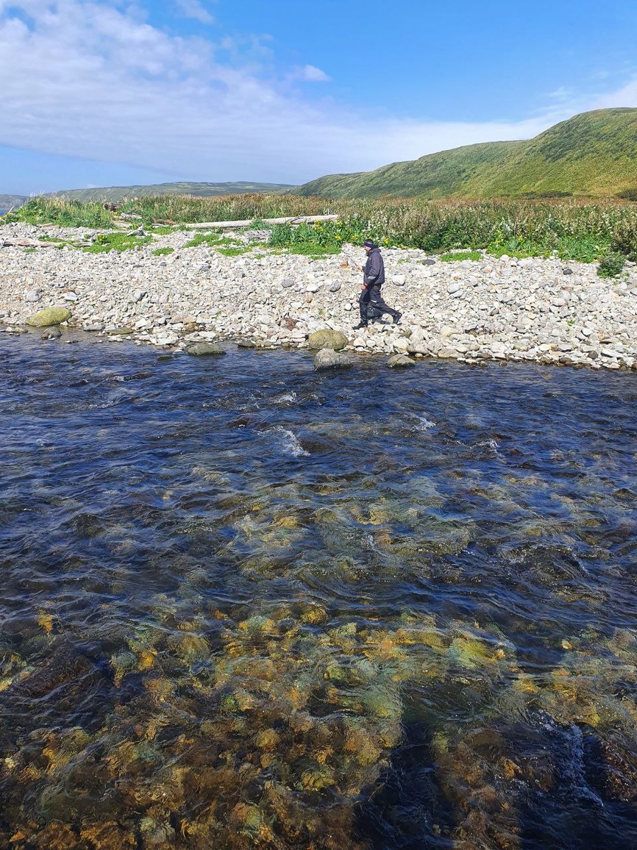 как в такой реке ваще что то поймать?