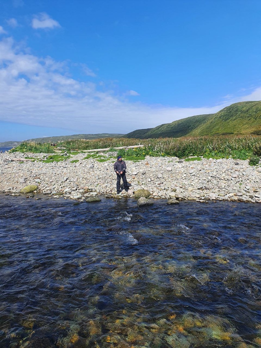 даже тут, хотя есть небольшие "звоночки"
