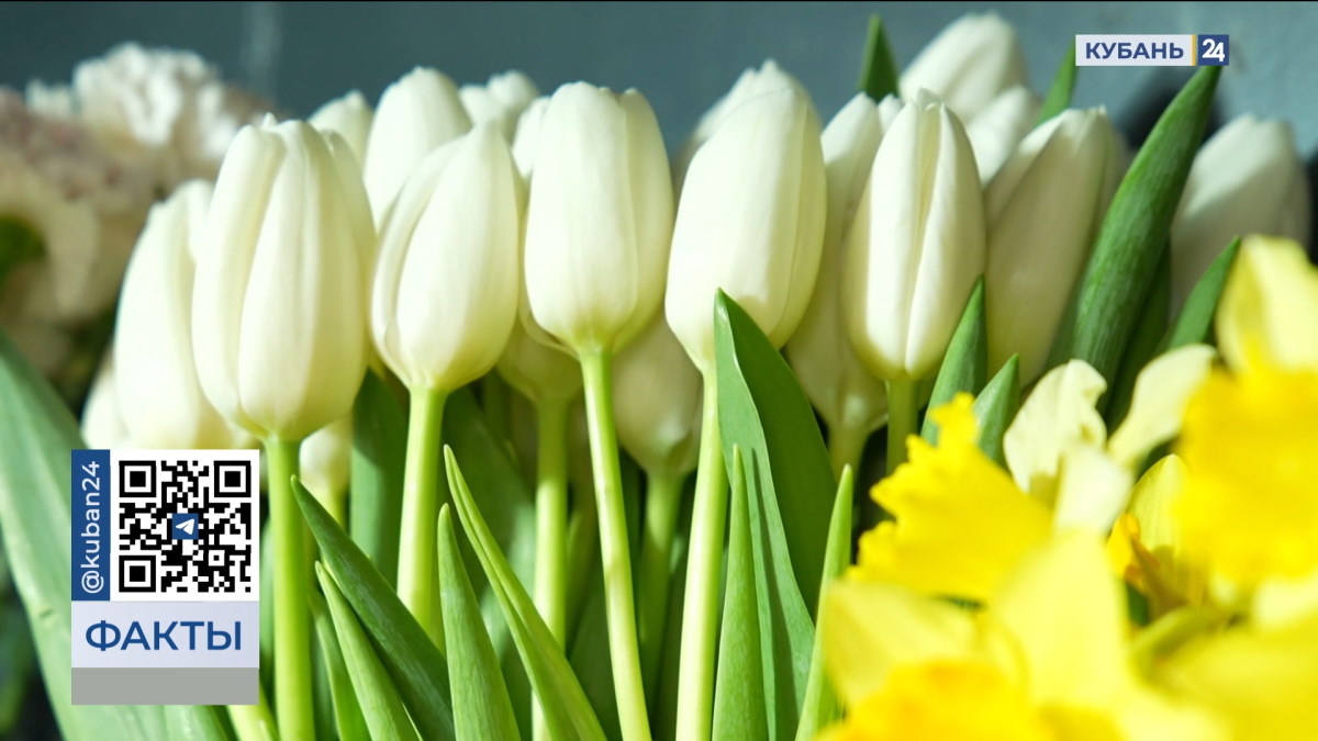    Видео канала «Кубань 24»