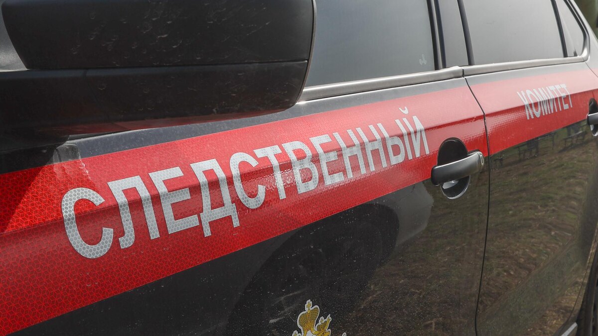    Фото: Petrov Sergey/news.ru/globallookpress.com