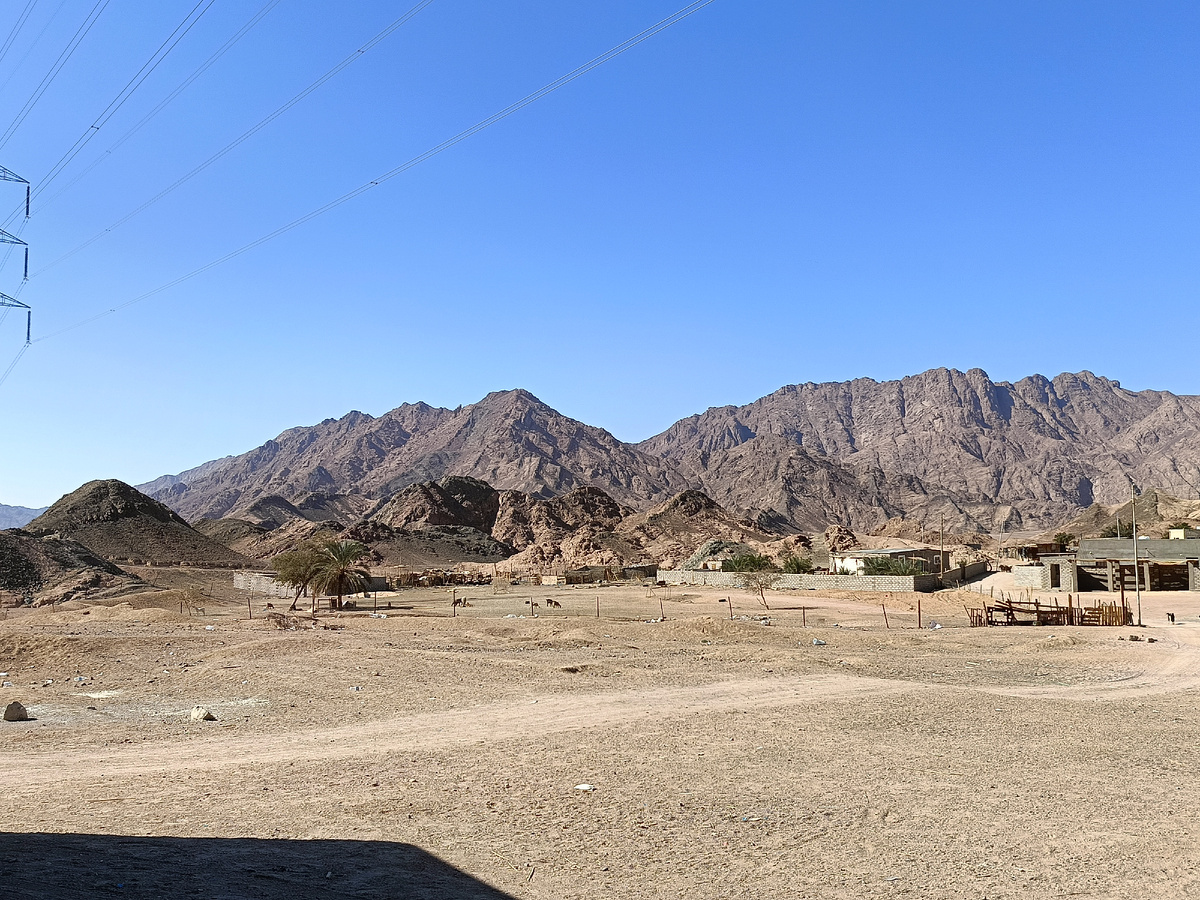 Деревня бедуинов. Фото автора.