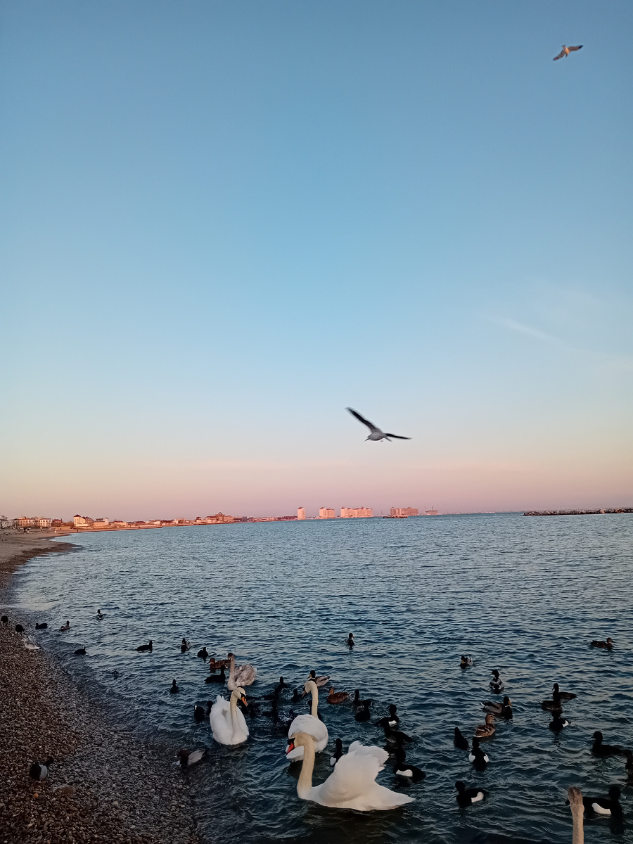 Авторское фото.