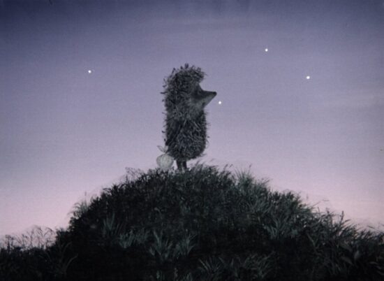 Фото: Яндекс картинки