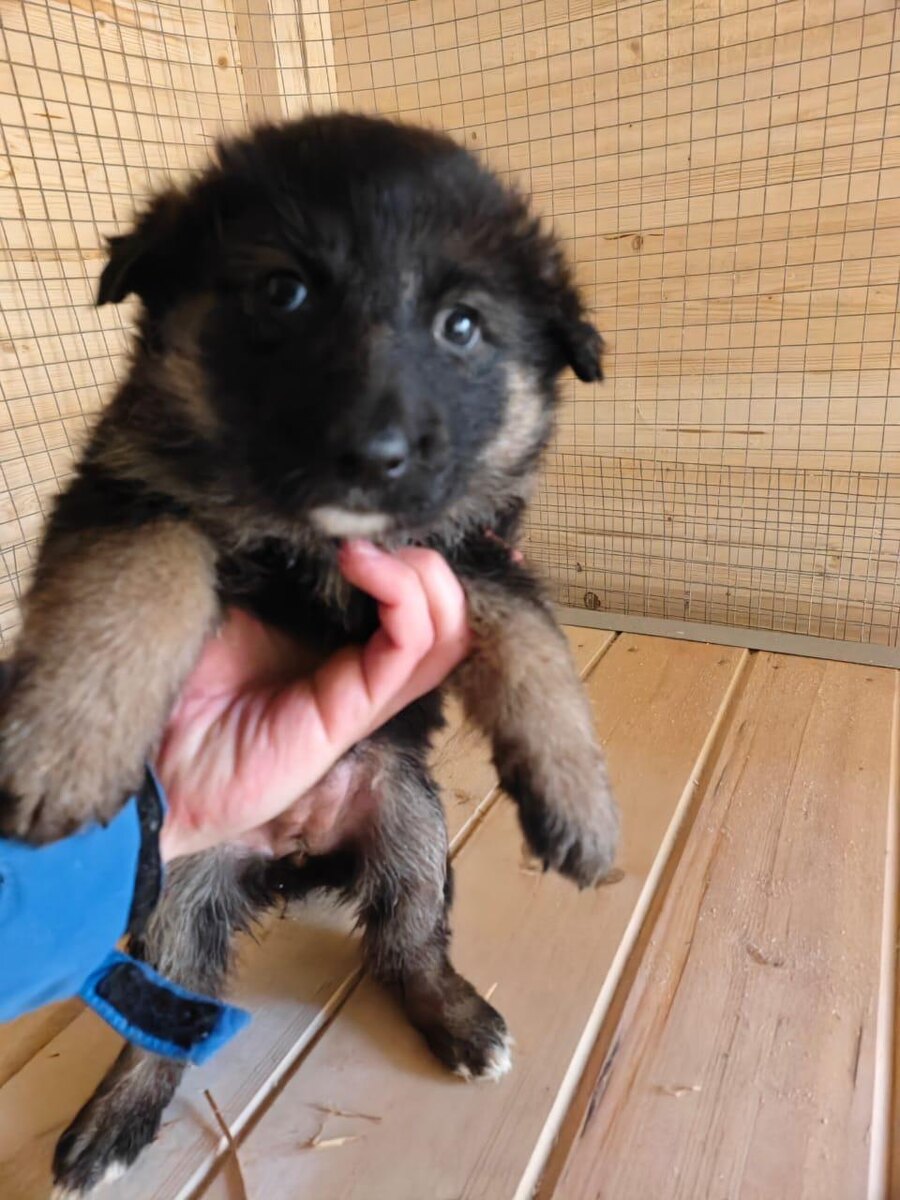 Этой малышке нужен дом 8 (904)525-53-86 