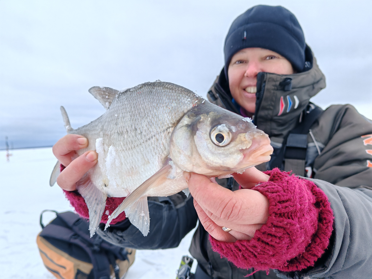 Вот такие ребята клевали у меня на тренировках