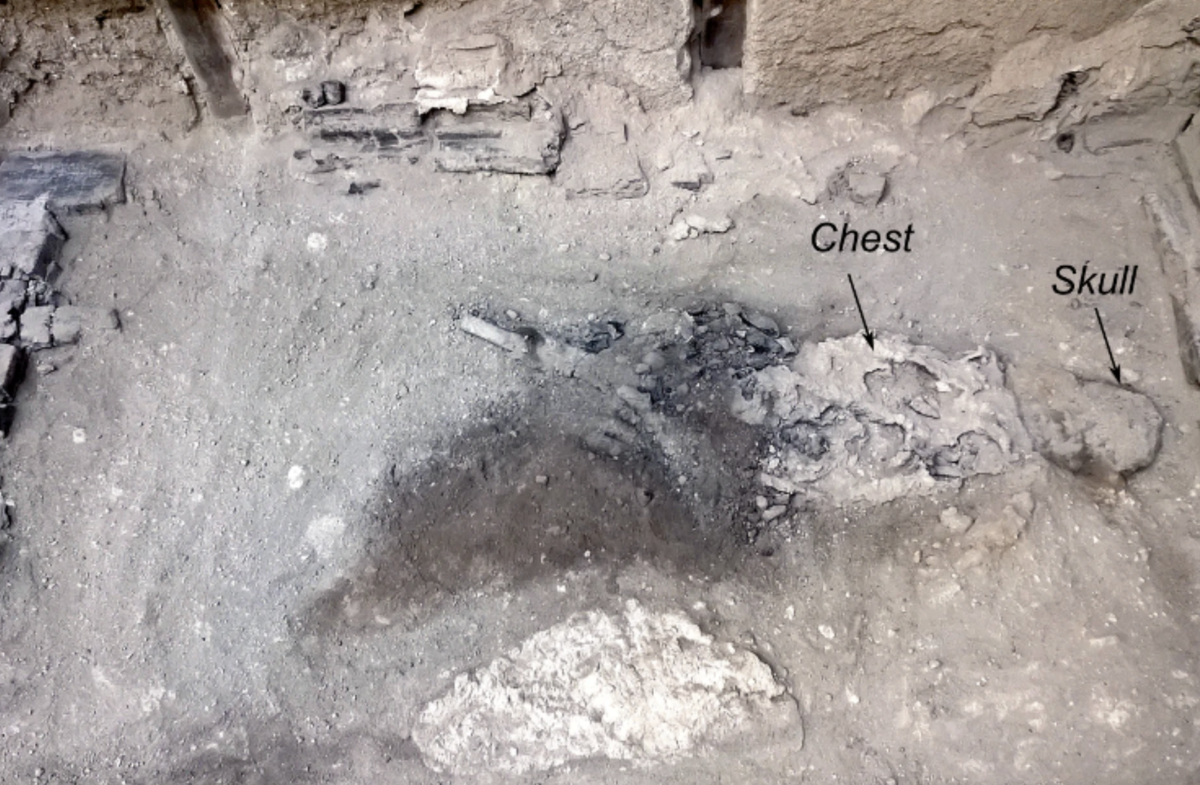 Найденные обугленные кости. Источник: Nature.