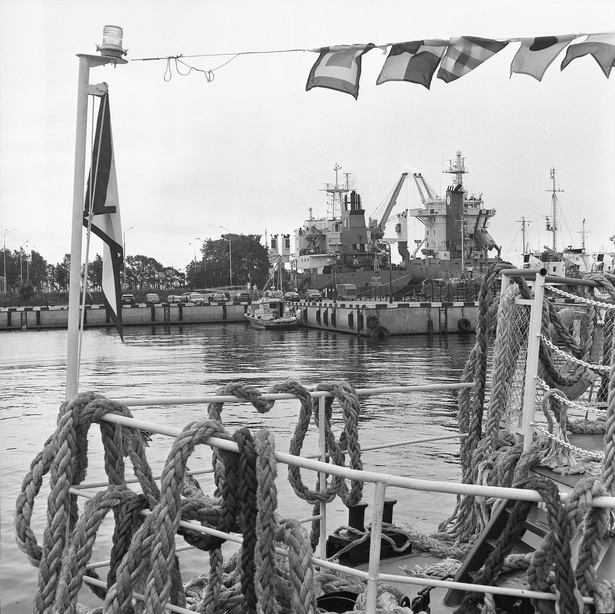 Съемка как ISO100. Проявка Родинал 1:50 7 мин      © Юлия Образцова