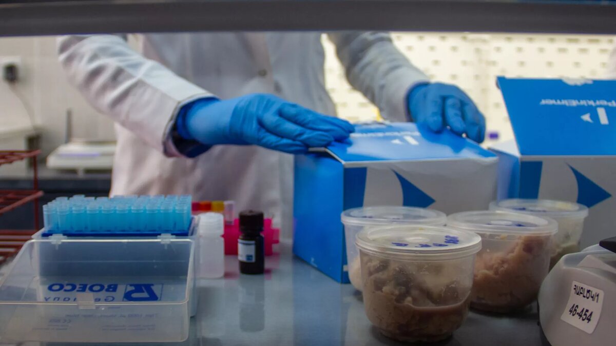 © Sputnik / Janna Poghosyan
