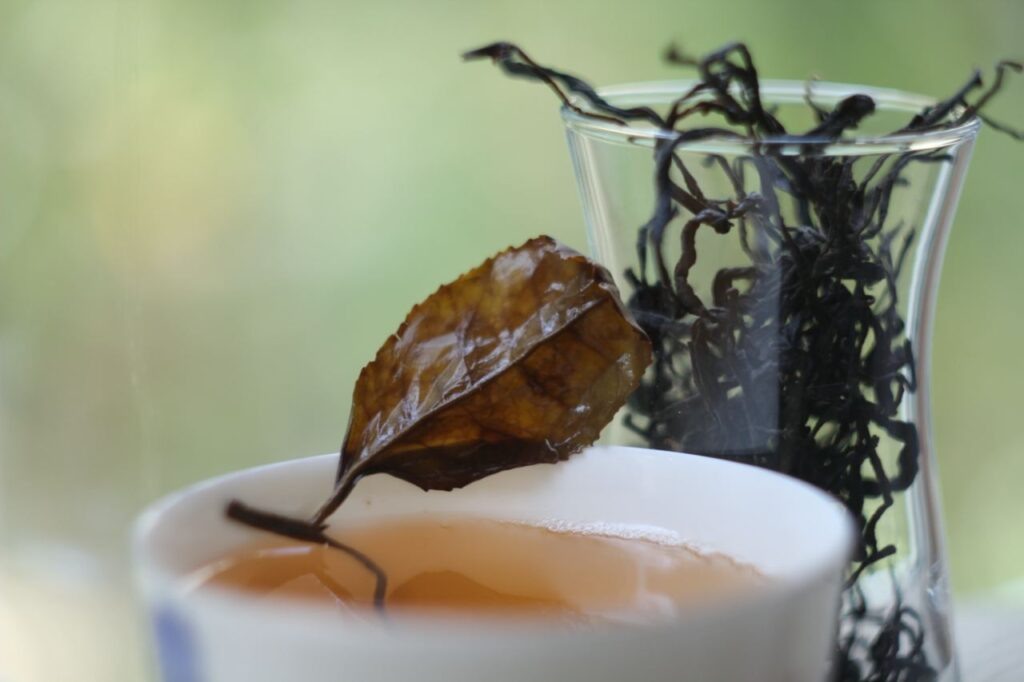 ГАБА-чай от Антона Бехтера. Фотография Ольги Никандровой