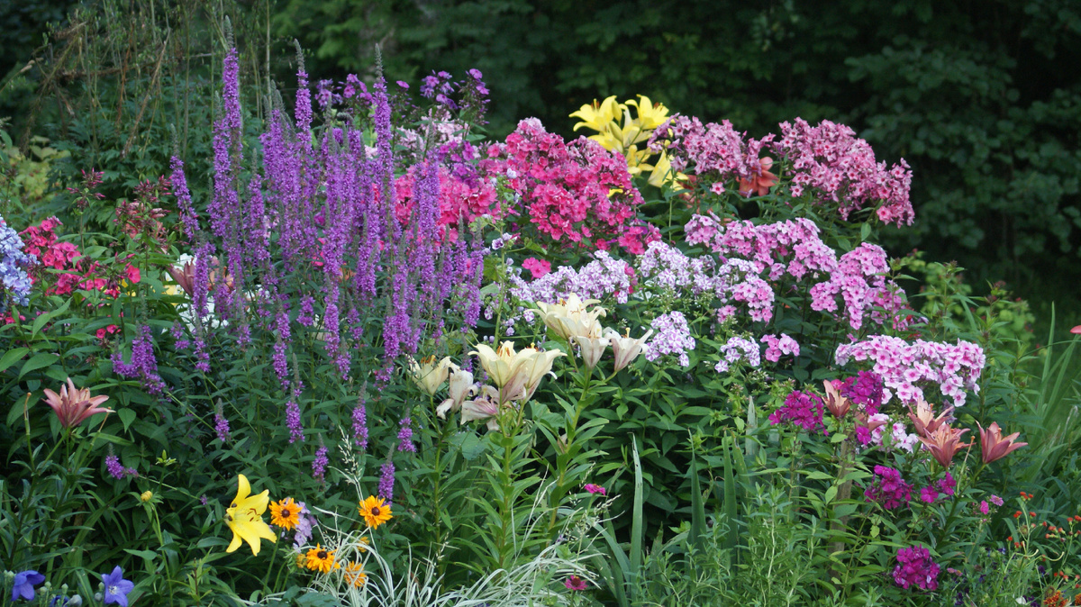 "Уральские сказы" справа.