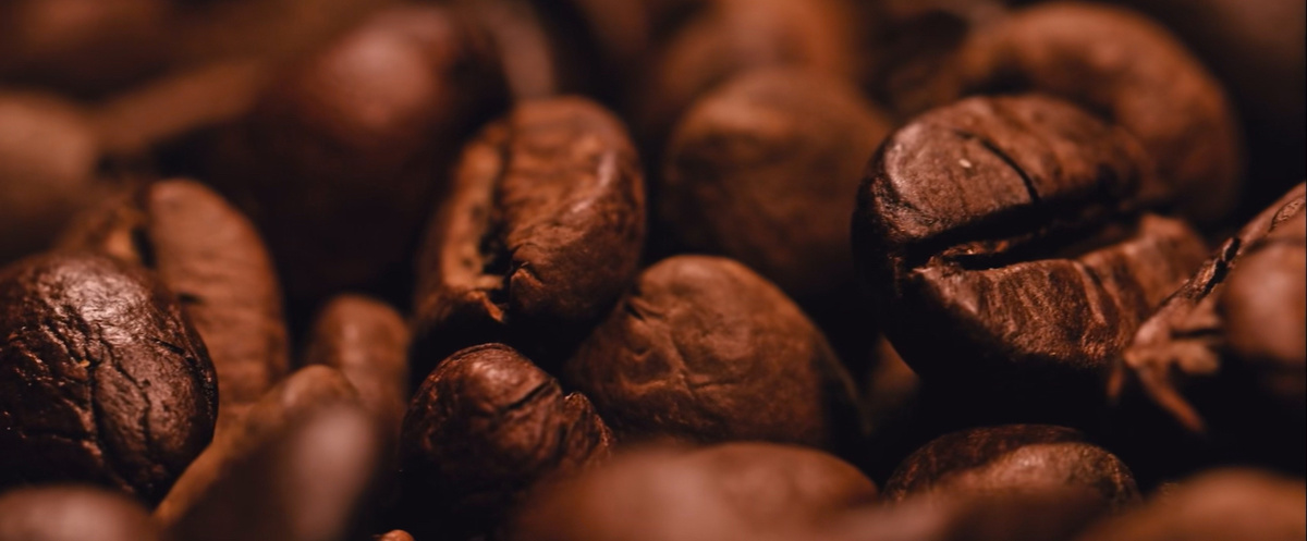 В каждом зерне отражается труд многих людей