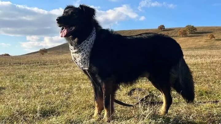     Источник: Читательница Эльвина