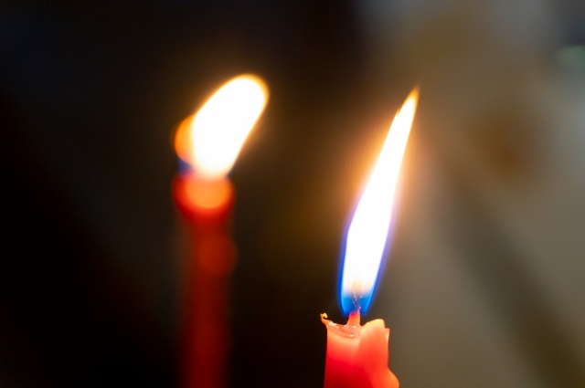    Фото:  АиФ/ Андрей Хорошавин