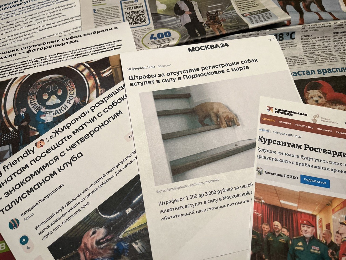 Обзор ключевых тем и событий февраля в сфере собаководства