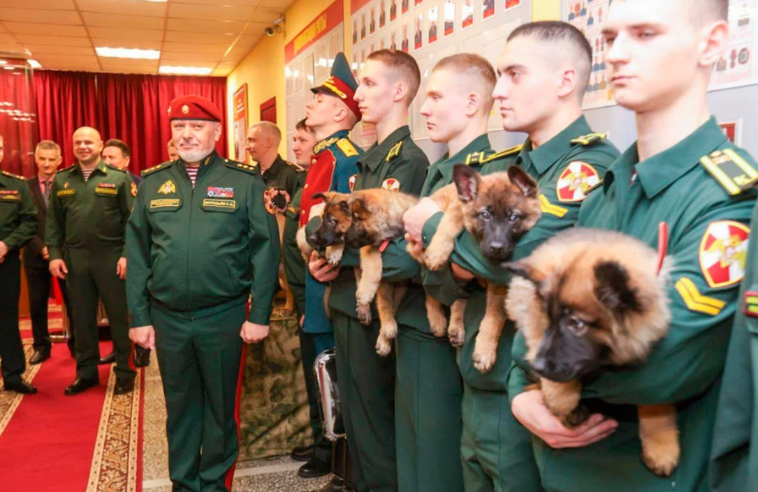 В Пермском военном институте Росгвардии прошла торжественная церемония, приуроченная к вручению щенков курсантам-кинологам