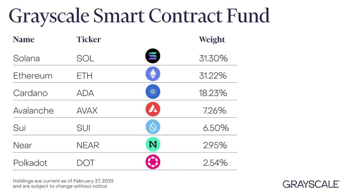 Новости в нашем Телеграмме! 