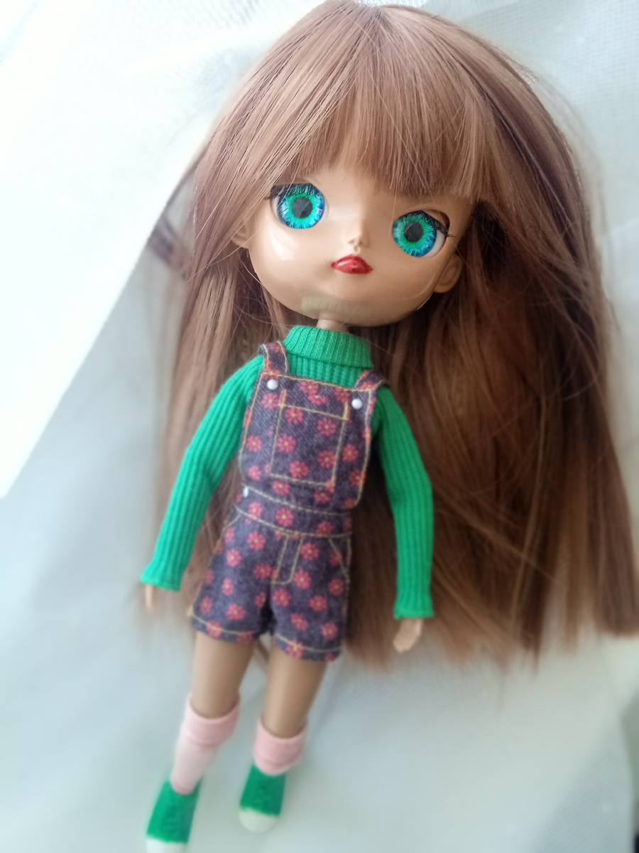 Сойка. Фото автора.